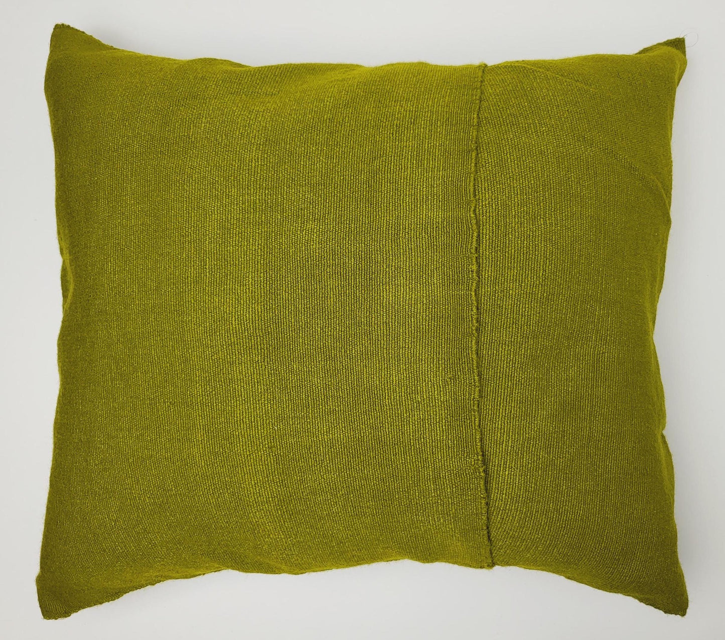 Magnifique housse de coussin à imprimé animalier mexicain – Fabriquée à la main au Chiapas