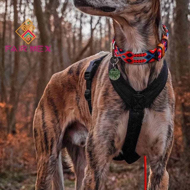 M- Hundehalsband, handgewebtes Hundehalsband, breites Hundehalsband Leder