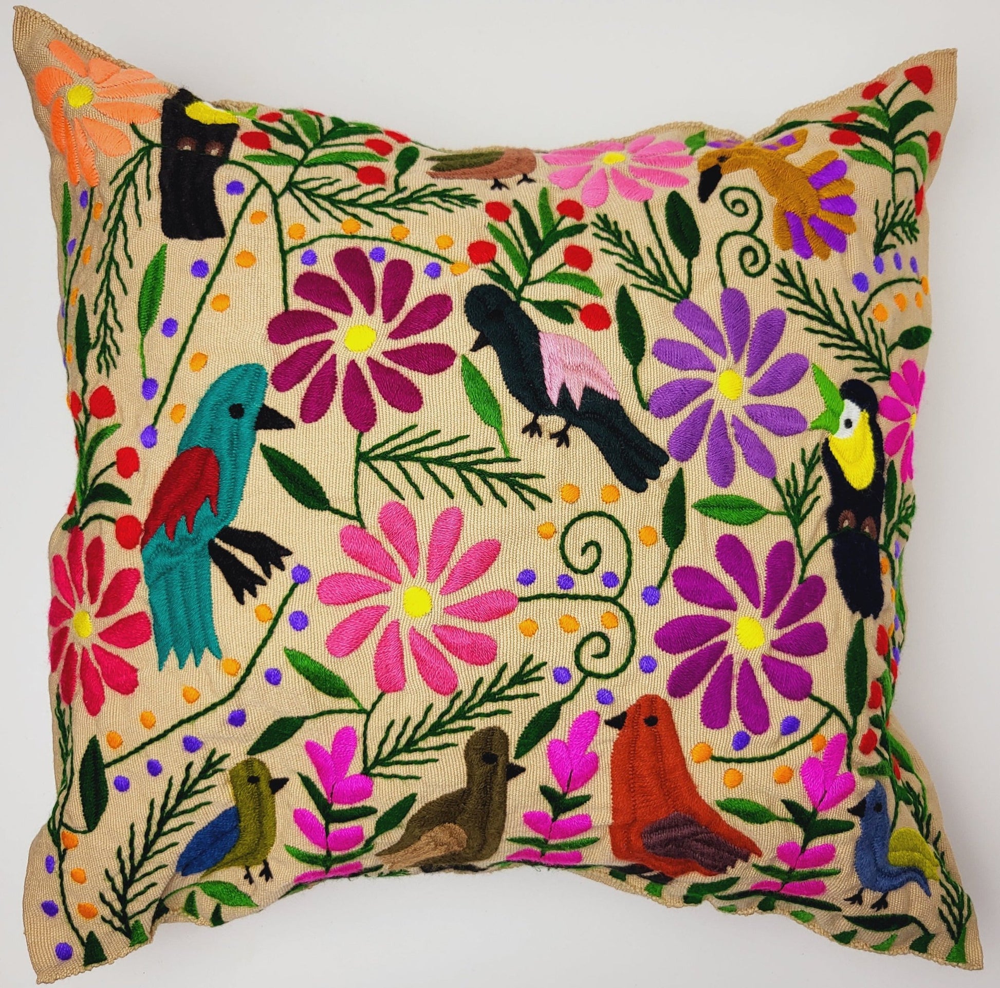 Hand-embroidered decorative pillow from Chiapas, Mexico, featuring a colorful animal pattern, set against